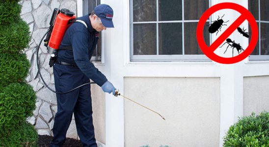 Yeşilhisar Kemirgen İlaçlama böcek ilaçlama ve haşere kontrolü — ilaclama-tr.com